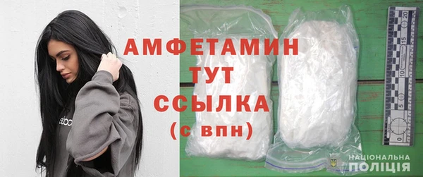 стаф Новодвинск