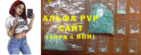 стаф Новодвинск