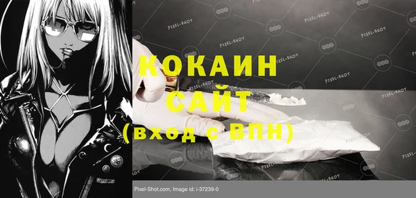 стаф Новодвинск