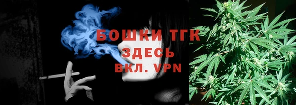 стаф Новодвинск