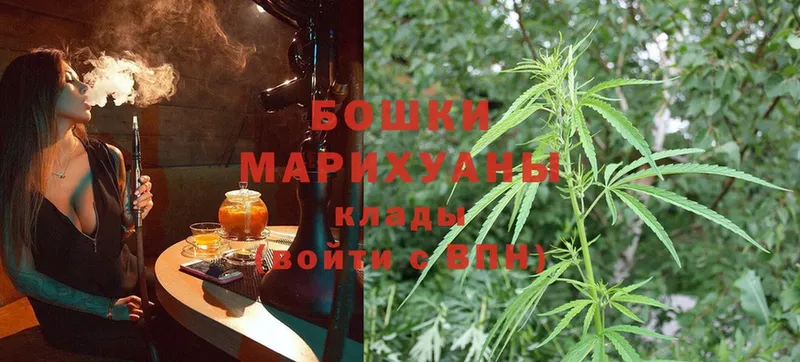 где купить наркоту  Лесозаводск  Бошки марихуана THC 21% 